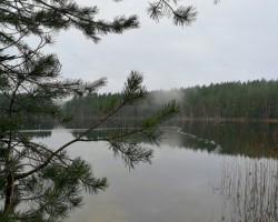 Niniera ezers