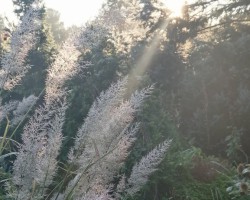 Krikumi - 3. foto