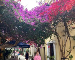 Nafplio ziedu ielas