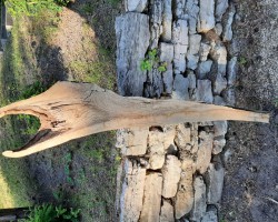 Sirdslietas. - 2. foto