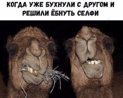  - 3. foto