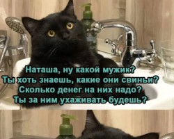  - 3. foto