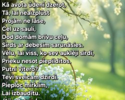 Ziedonis 2 - 3. foto