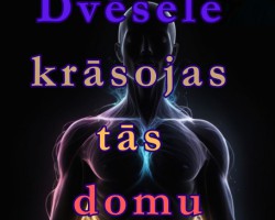  - 1. foto