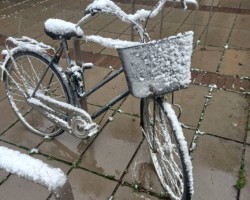  - 1. foto