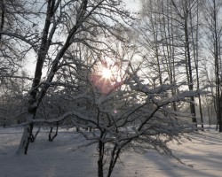  - 1. foto