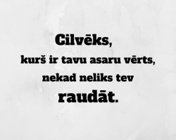 ...... - 1. foto