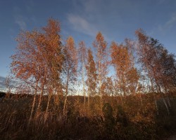  - 2. foto