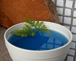 Blue (Da ba dee)