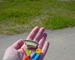 foto momenti
