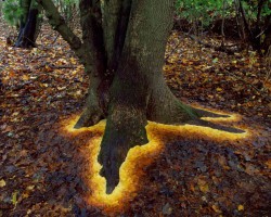 Goldsworthy