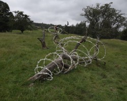 Goldsworthy - 3. foto