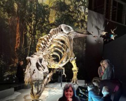 Jauka diena. - 2. foto