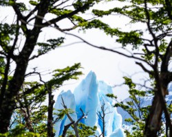 Perito Moreno smaile