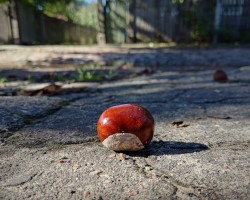 kasta�a ikdiena