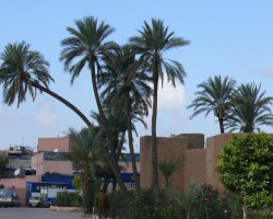 Maroka - 3. foto