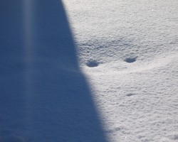 Sniegs - 3. foto