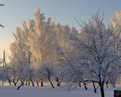 Ziemas prieks - 1. foto