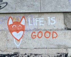 &#129418;