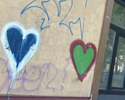 Love is all around!