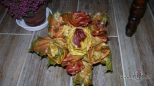 <span class="f15 lh1p5">Rozes</span>