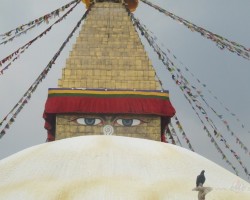 Nepal.Katmandu.Stupa.