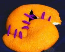 orange - 2. foto