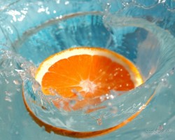 orange - 1. foto