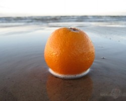 orange - 3. foto