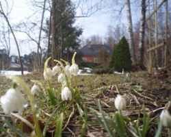 pavasars - 3. foto