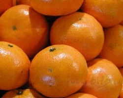 Mmmm les mandarines...