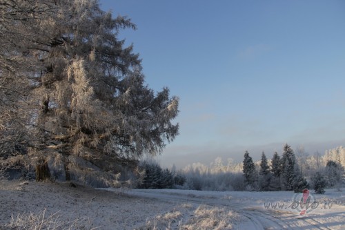 <span class="f15 lh1p5">Ziemas mājieni</span>