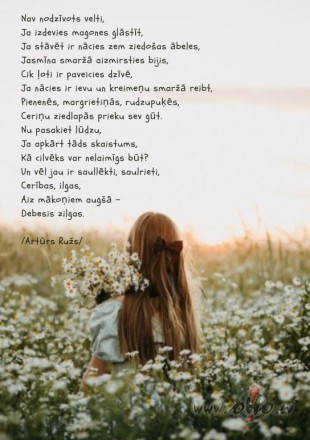 nav velti