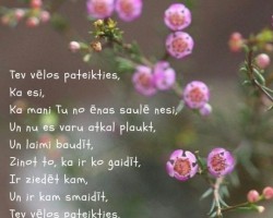 Sirds darbi