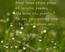 Sirds darbi