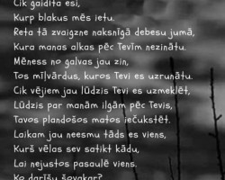 Sirds darbi