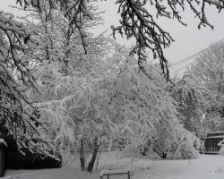 Ziemas atvadas - 2. foto