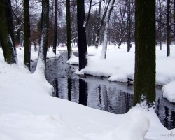 Ziema 2011. - 3. foto