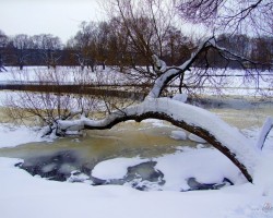 Ziema 2011. - 1. foto