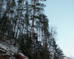 Ziema! - 3. foto