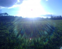 Saule - 3. foto