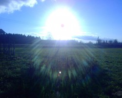 Saule - 2. foto