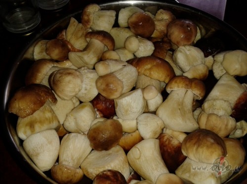 <span class="f15 lh1p5">Baraviku cempions!</span>