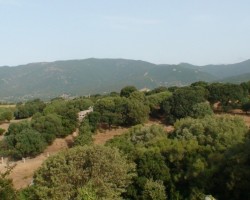 Korsika - 1. foto